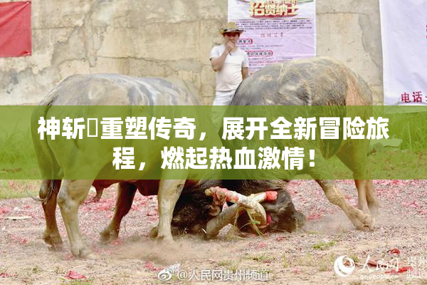 神斩婬重塑传奇，展开全新冒险旅程，燃起热血激情！