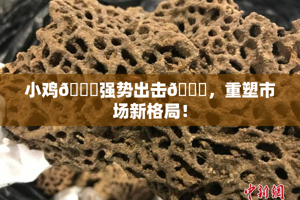 小鸡🐔强势出击🍑，重塑市场新格局！
