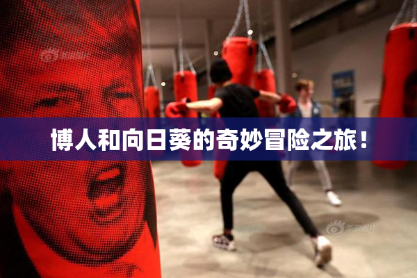 博人和向日葵的奇妙冒险之旅！