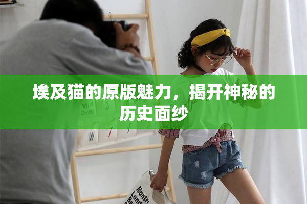 埃及猫的原版魅力，揭开神秘的历史面纱