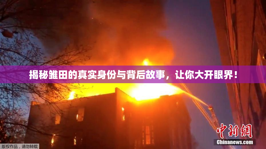 揭秘雏田的真实身份与背后故事，让你大开眼界！