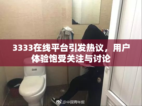 3333在线平台引发热议，用户体验饱受关注与讨论
