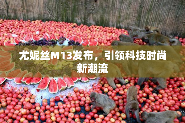 尤妮丝M13发布，引领科技时尚新潮流