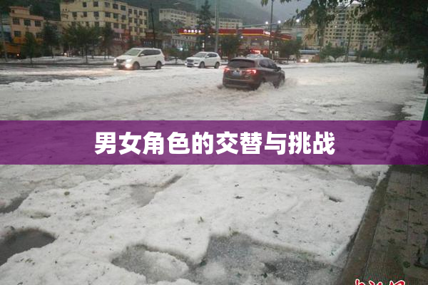 男女角色的交替与挑战