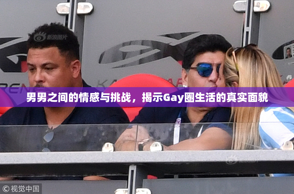 男男之间的情感与挑战，揭示Gay圈生活的真实面貌