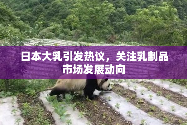 日本大乳引发热议，关注乳制品市场发展动向