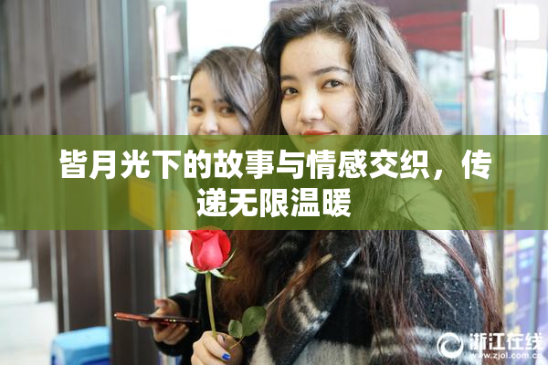 皆月光下的故事与情感交织，传递无限温暖
