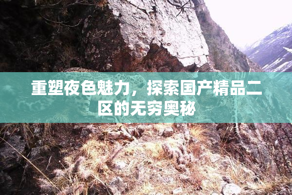 重塑夜色魅力，探索国产精品二区的无穷奥秘
