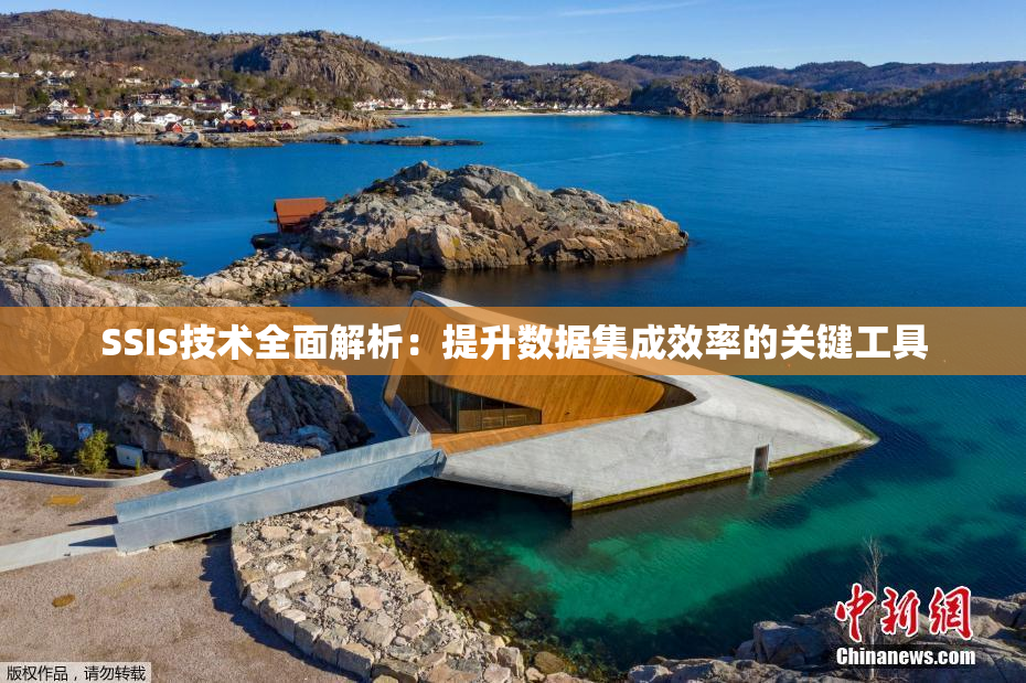 SSIS技术全面解析：提升数据集成效率的关键工具