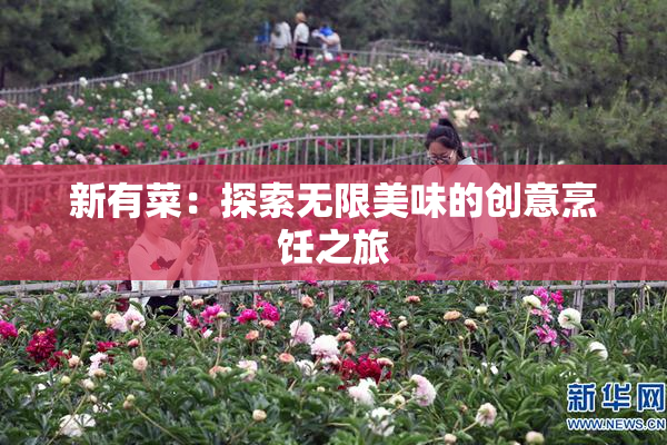 新有菜：探索无限美味的创意烹饪之旅