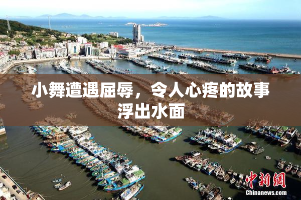 小舞遭遇屈辱，令人心疼的故事浮出水面