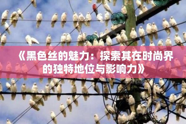 《黑色丝的魅力：探索其在时尚界的独特地位与影响力》