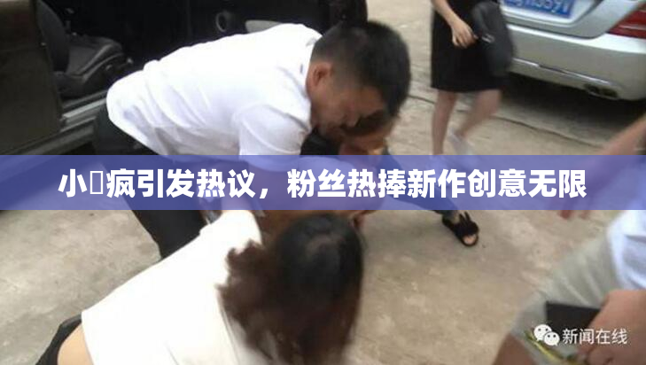 小泬疯引发热议，粉丝热捧新作创意无限