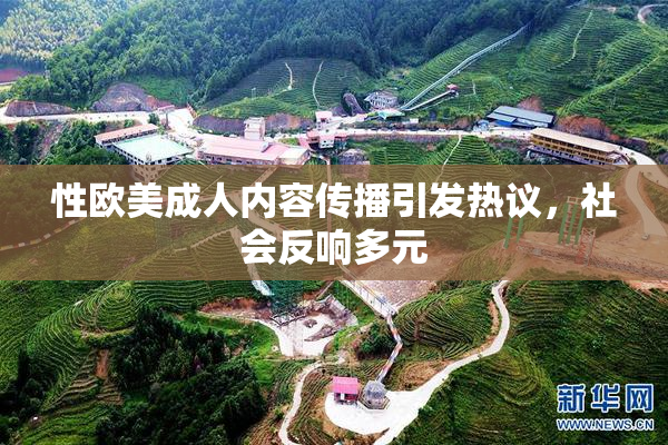 性欧美成人内容传播引发热议，社会反响多元