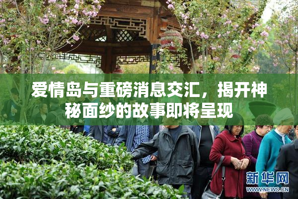 爱情岛与重磅消息交汇，揭开神秘面纱的故事即将呈现