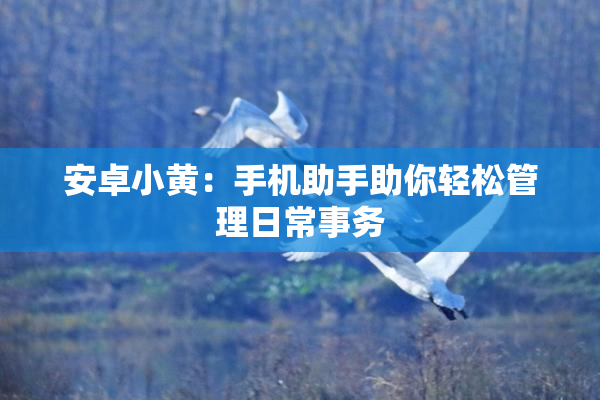 安卓小黄：手机助手助你轻松管理日常事务