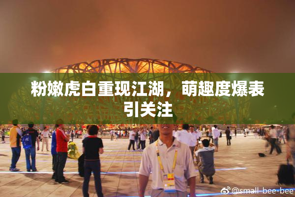 粉嫩虎白重现江湖，萌趣度爆表引关注