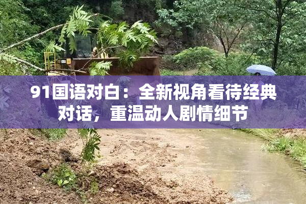 91国语对白：全新视角看待经典对话，重温动人剧情细节