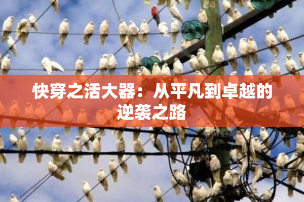 快穿之活大器：从平凡到卓越的逆袭之路