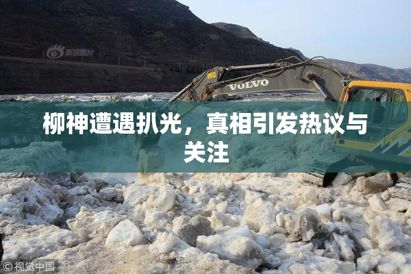 柳神遭遇扒光，真相引发热议与关注