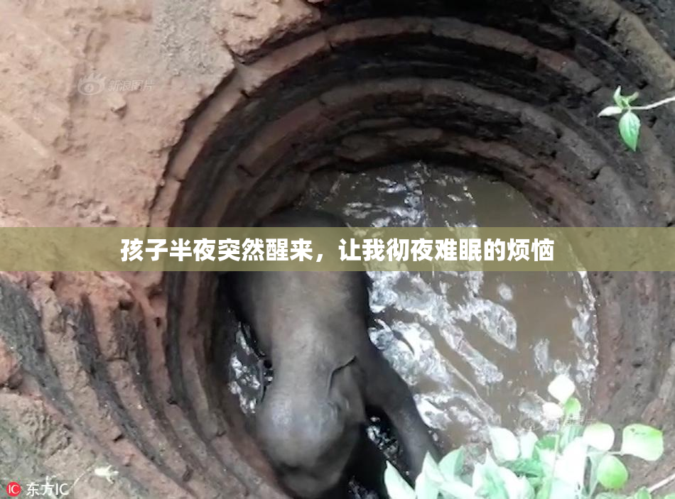 孩子半夜突然醒来，让我彻夜难眠的烦恼