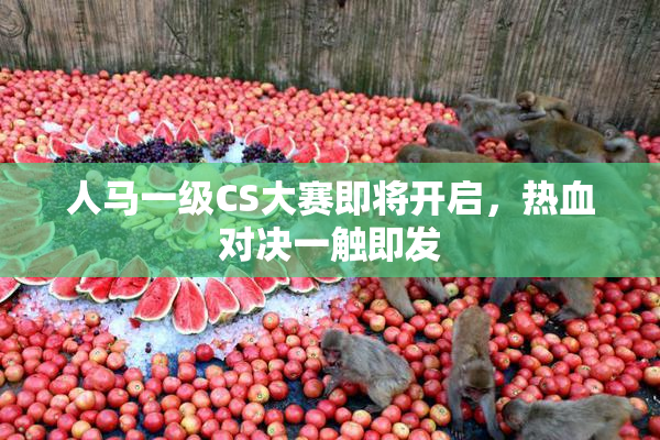 人马一级CS大赛即将开启，热血对决一触即发