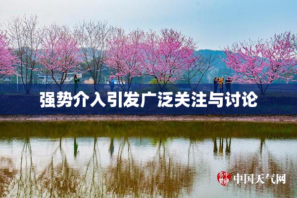 强势介入引发广泛关注与讨论