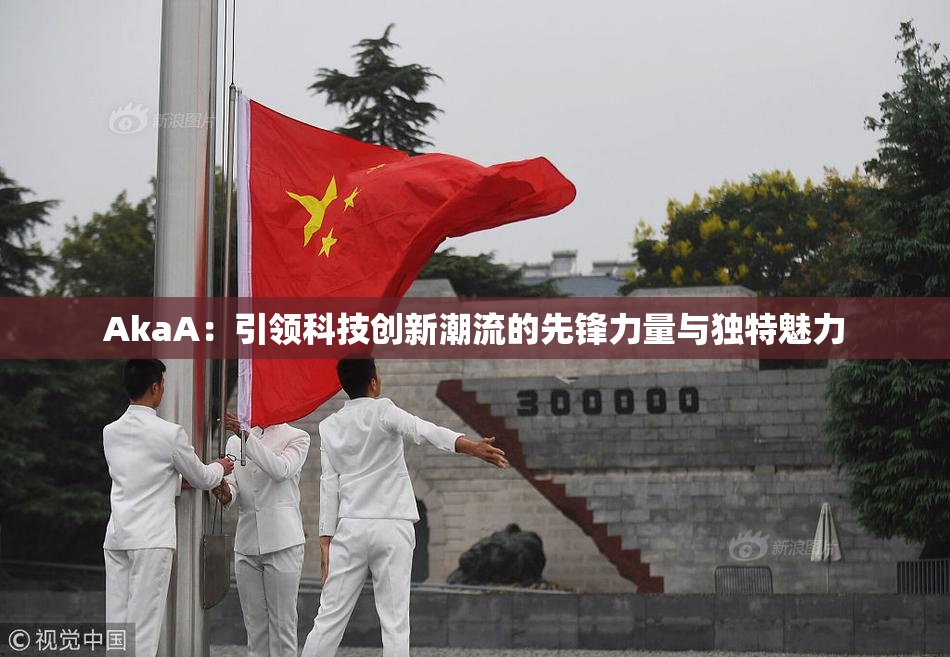 AkaA：引领科技创新潮流的先锋力量与独特魅力
