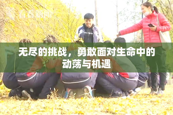 无尽的挑战，勇敢面对生命中的动荡与机遇