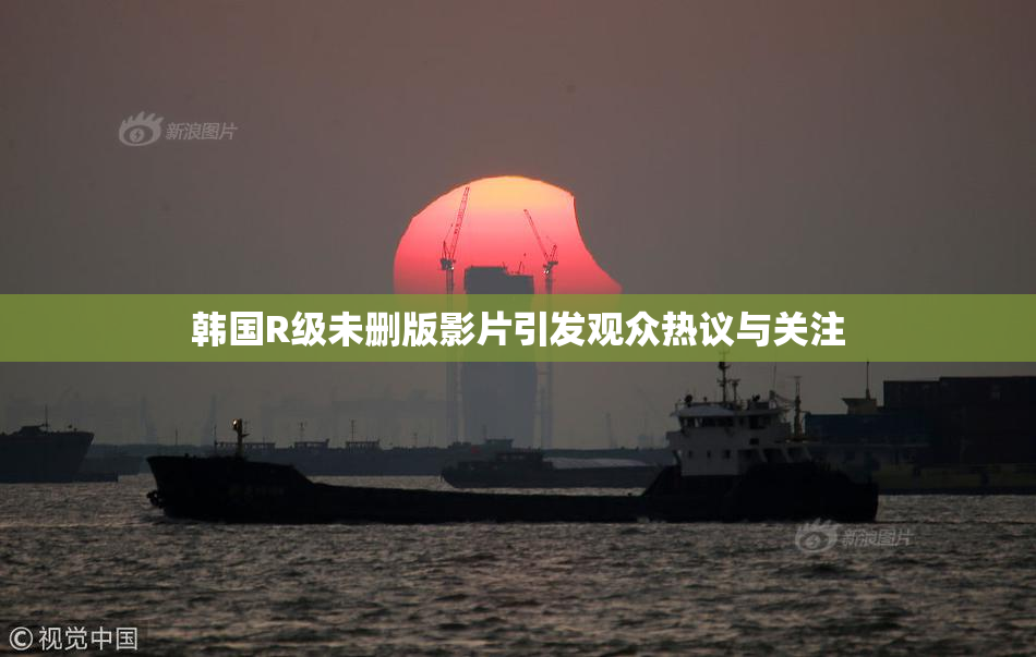 韩国R级未删版影片引发观众热议与关注