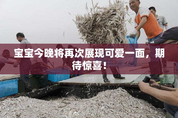 宝宝今晚将再次展现可爱一面，期待惊喜！
