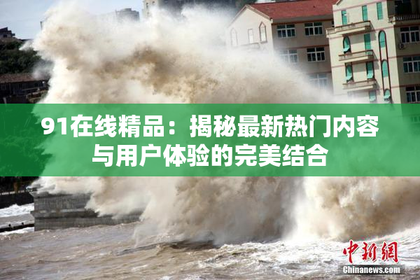 91在线精品：揭秘最新热门内容与用户体验的完美结合