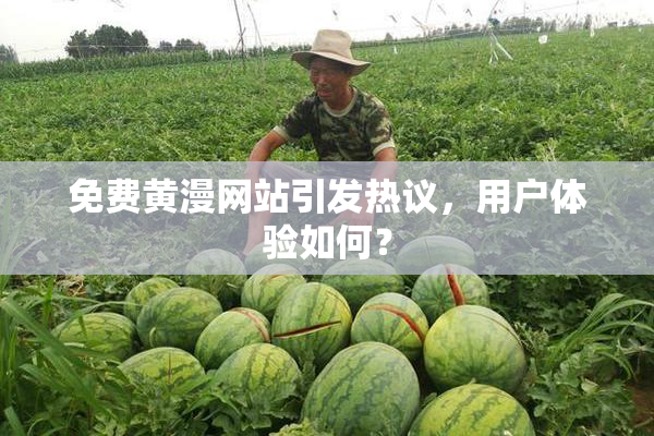 免费黄漫网站引发热议，用户体验如何？