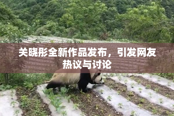关晓彤全新作品发布，引发网友热议与讨论