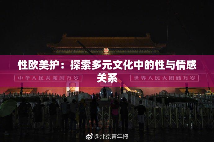 性欧美护：探索多元文化中的性与情感关系