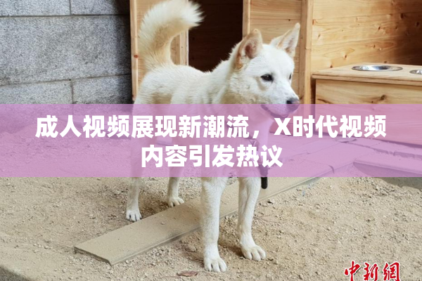 成人视频展现新潮流，X时代视频内容引发热议