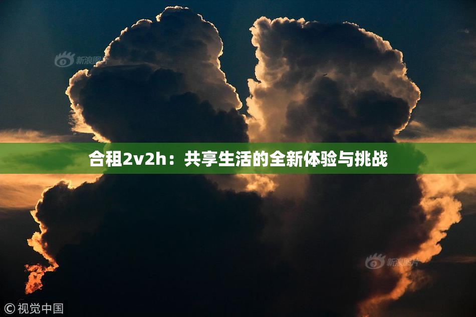 合租2v2h：共享生活的全新体验与挑战
