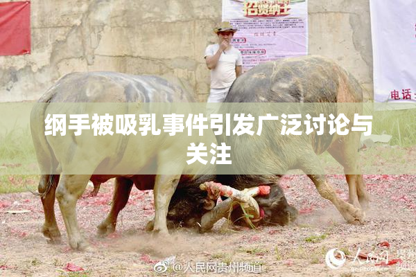 纲手被吸乳事件引发广泛讨论与关注