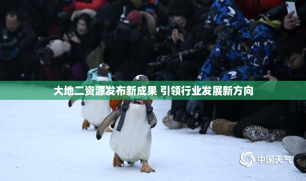 大地二资源发布新成果 引领行业发展新方向