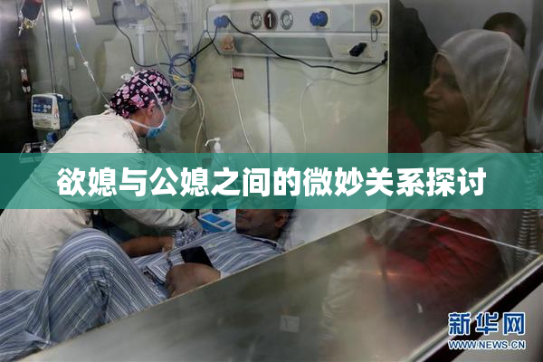 欲媳与公媳之间的微妙关系探讨