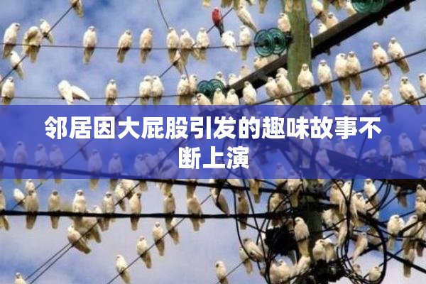 邻居因大屁股引发的趣味故事不断上演