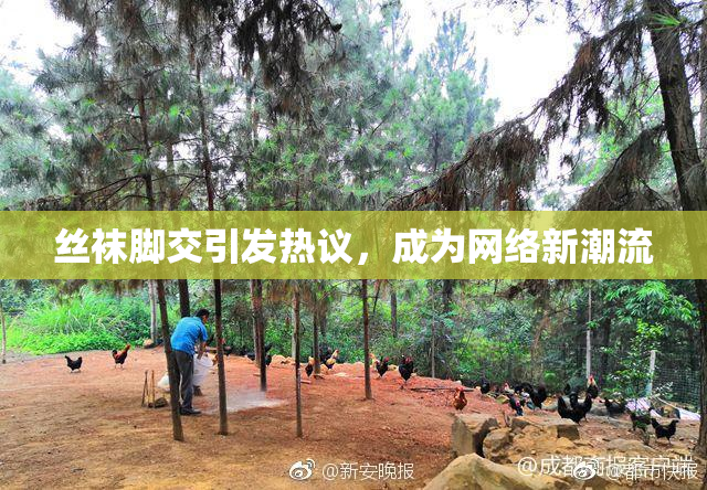 丝袜脚交引发热议，成为网络新潮流