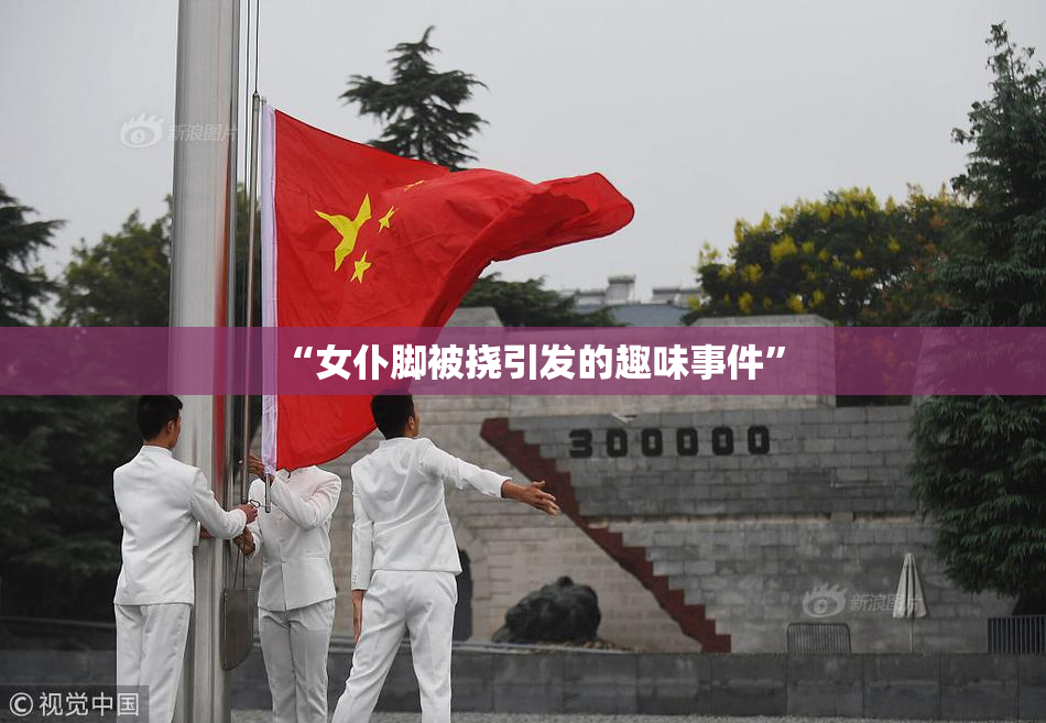 “女仆脚被挠引发的趣味事件”