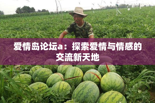 爱情岛论坛a：探索爱情与情感的交流新天地