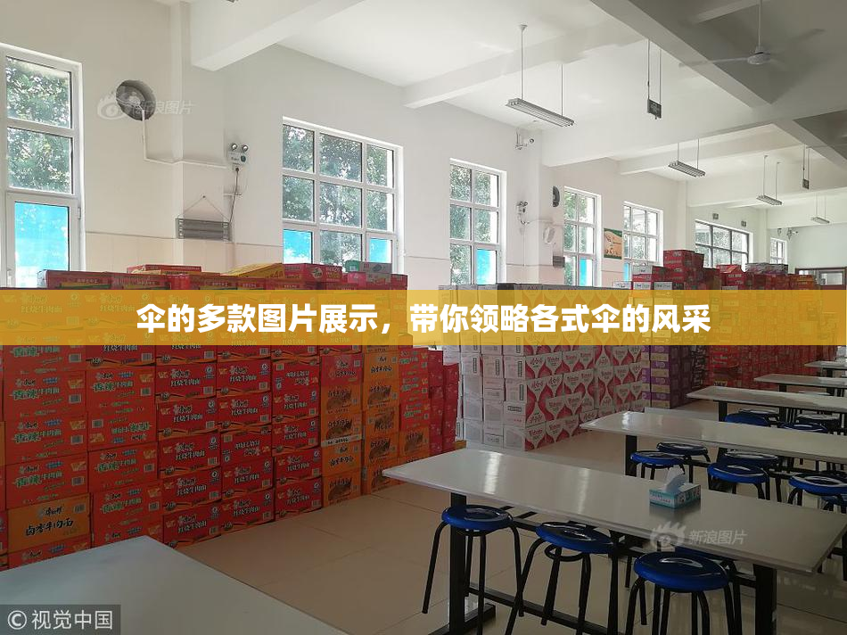 伞的多款图片展示，带你领略各式伞的风采