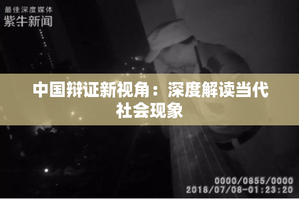 中国辩证新视角：深度解读当代社会现象