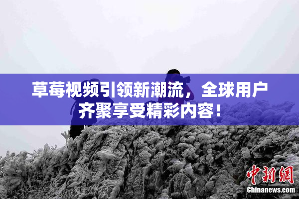 草莓视频引领新潮流，全球用户齐聚享受精彩内容！