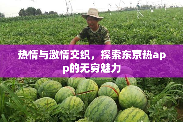 热情与激情交织，探索东京热app的无穷魅力