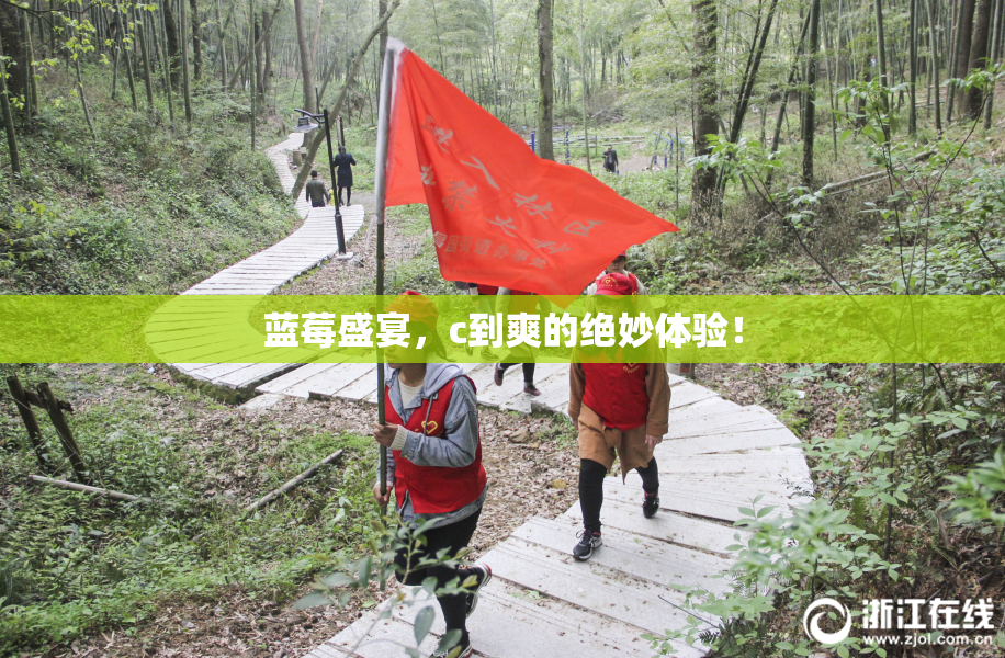 蓝莓盛宴，c到爽的绝妙体验！