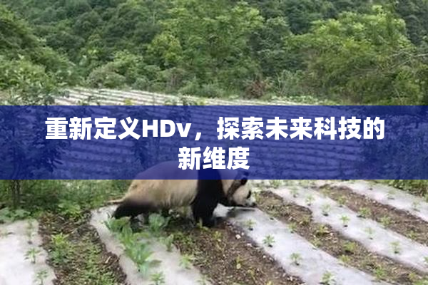 重新定义HDv，探索未来科技的新维度
